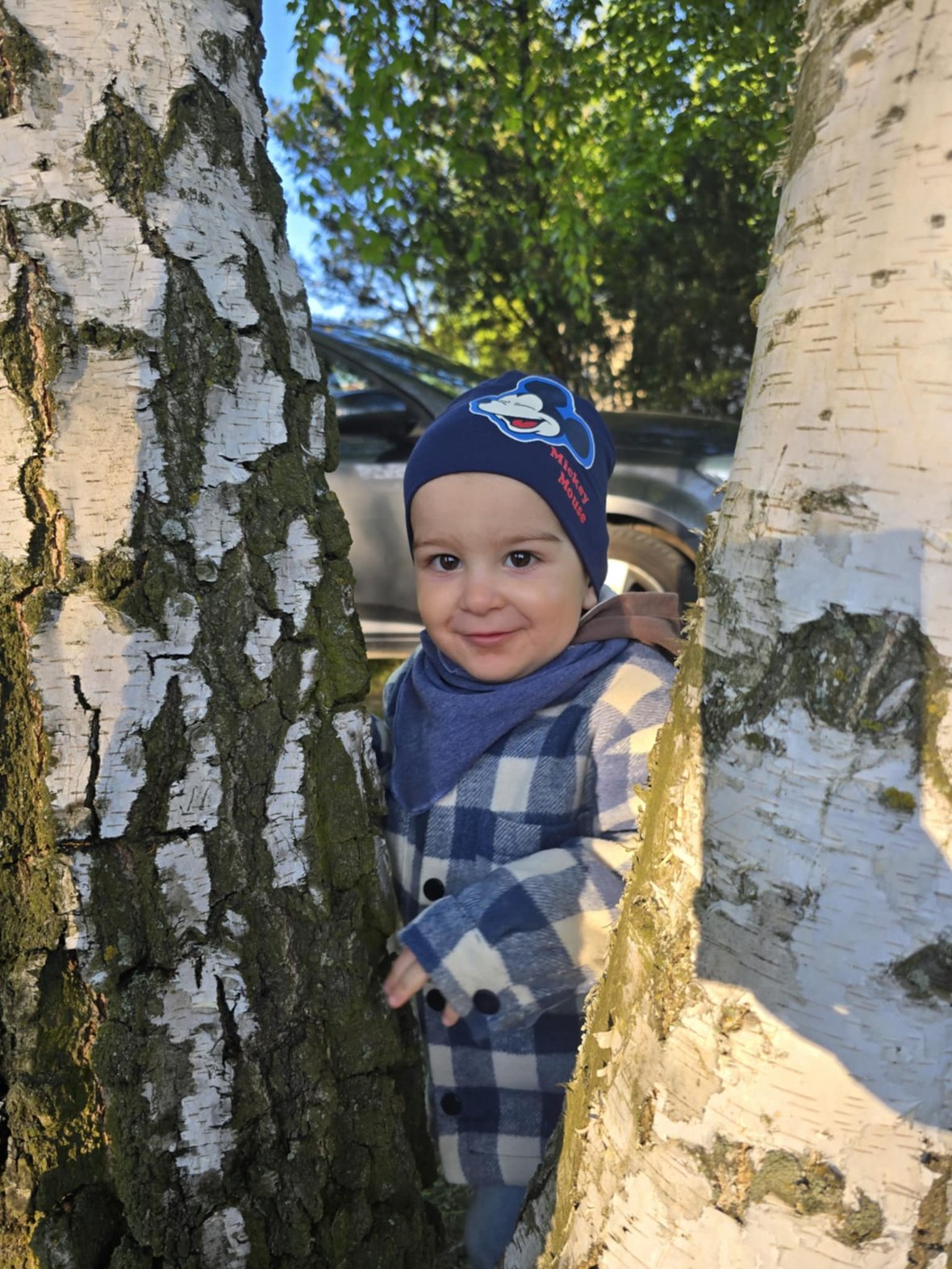 Zdjęcie główne wgrane przez użytkownika