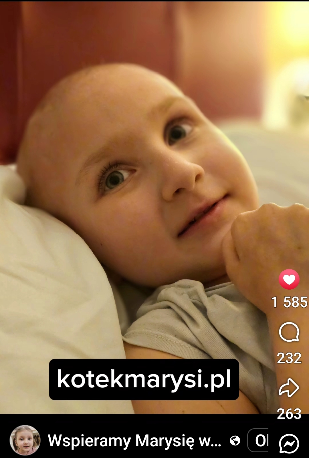 Zdjęcie główne wgrane przez użytkownika