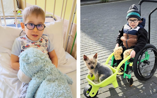 Zdjęcie główne wgrane przez użytkownika