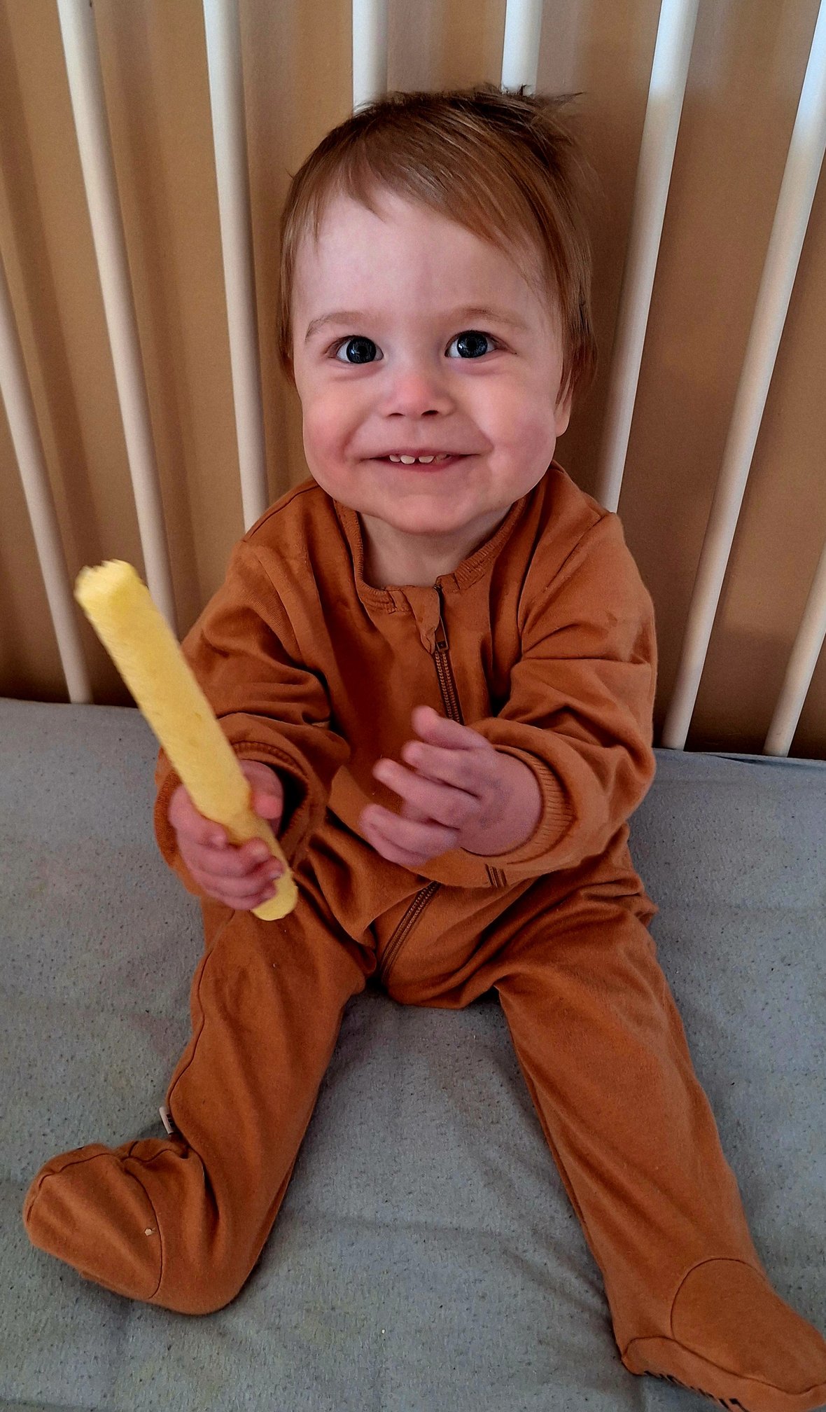 Zdjęcie główne wgrane przez użytkownika