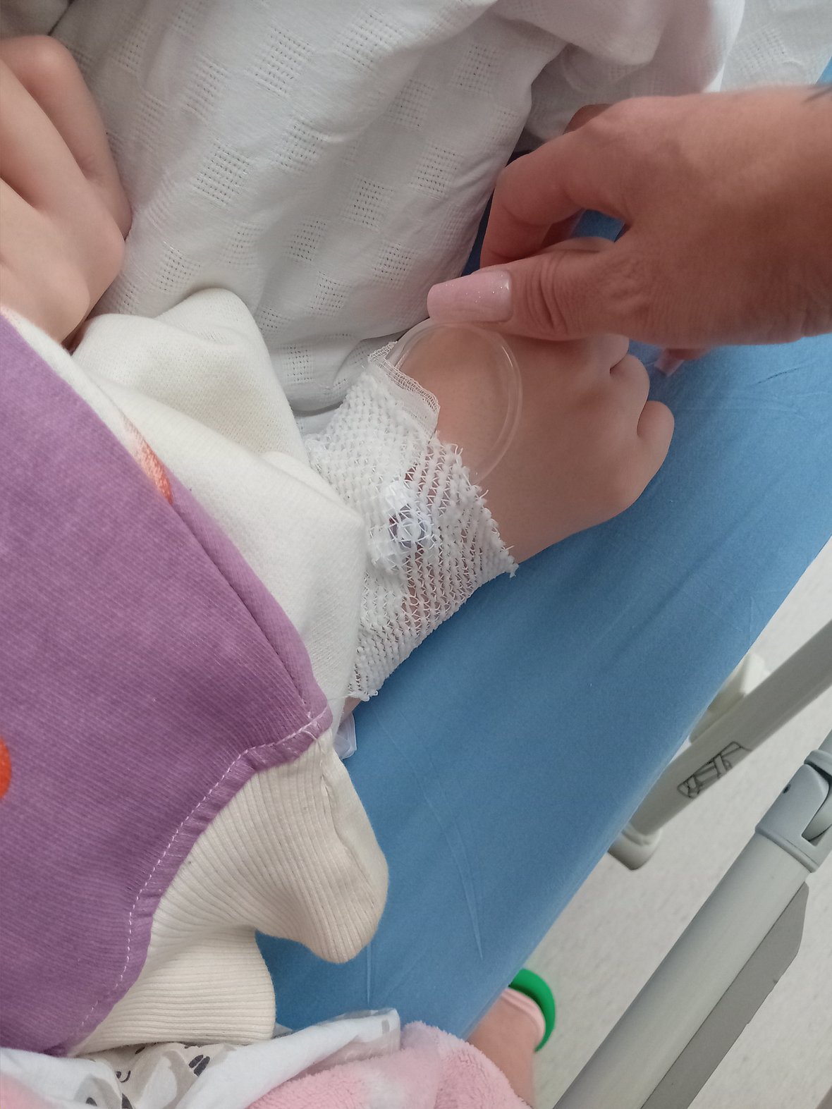 Zdjęcie główne wgrane przez użytkownika