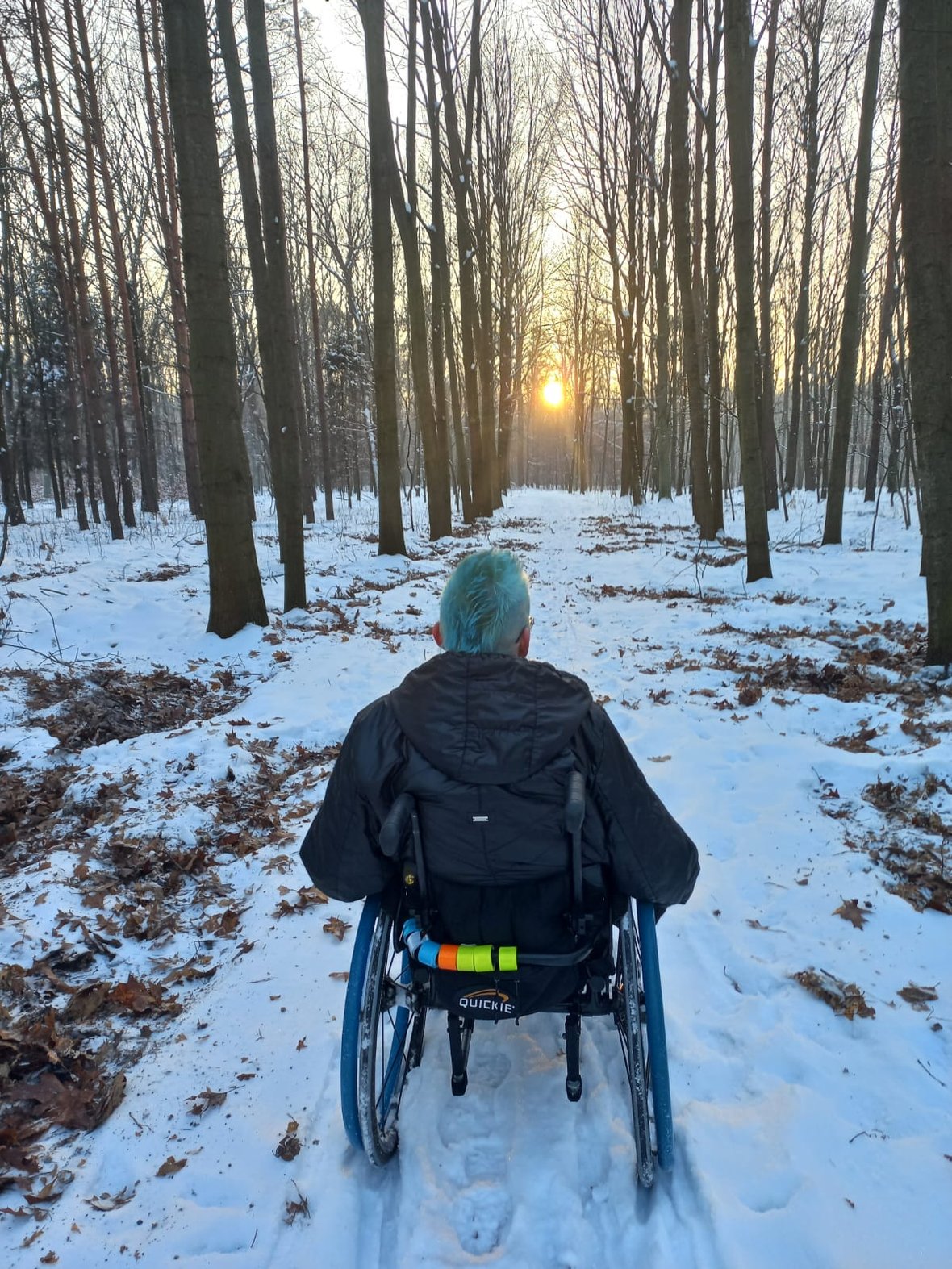 Main photo uploaded by the user