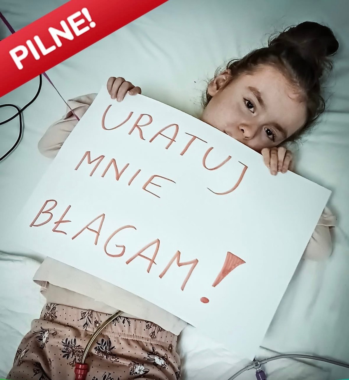 Main photo uploaded by the user