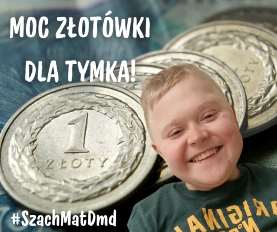 Zdjęcie główne wgrane przez użytkownika