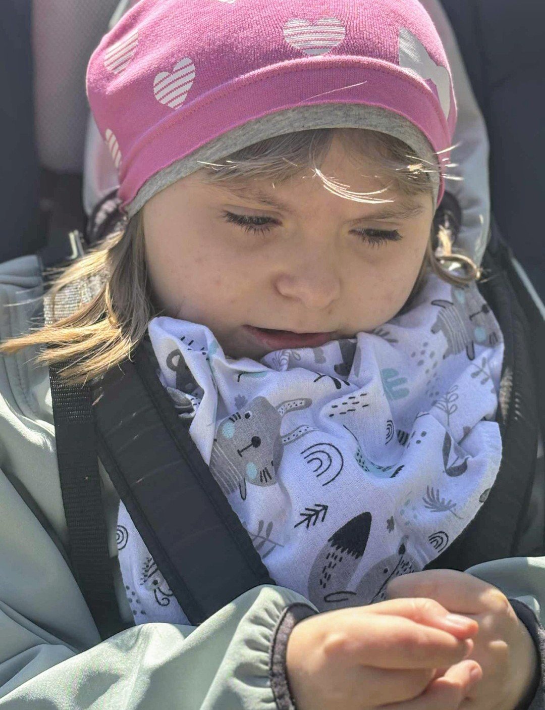 Main photo uploaded by the user