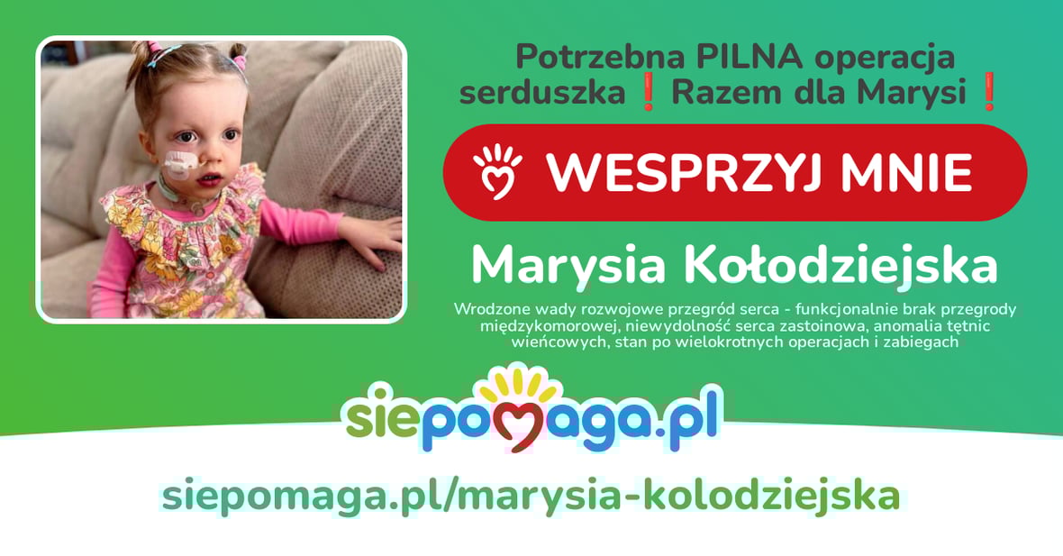 Main photo uploaded by the user