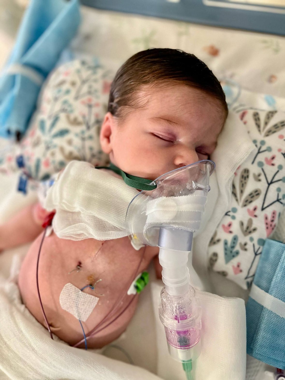 Zdjęcie główne wgrane przez użytkownika