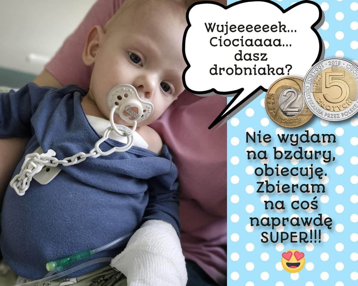 Main photo uploaded by the user