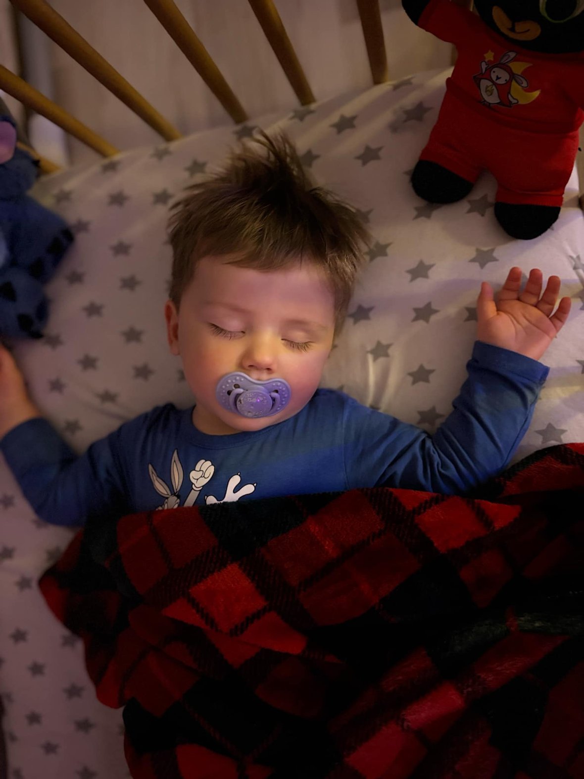 Zdjęcie główne wgrane przez użytkownika