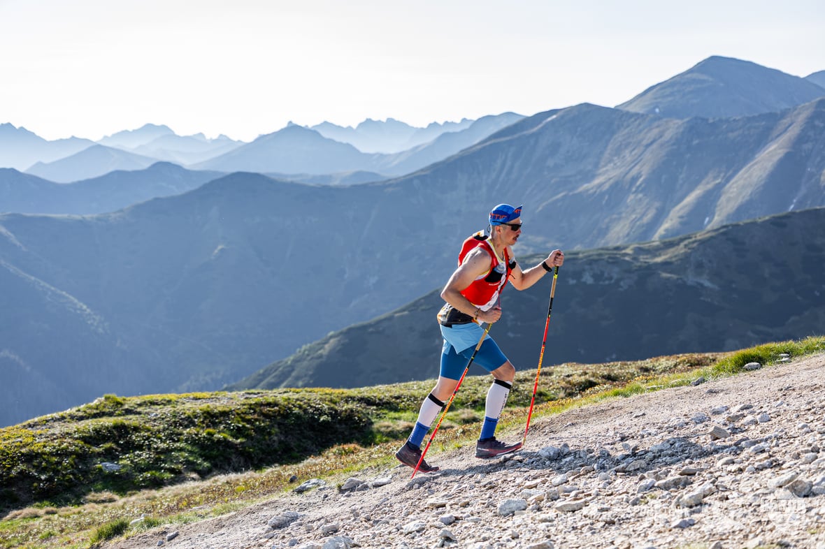 Zdjęcie główne wgrane przez użytkownika