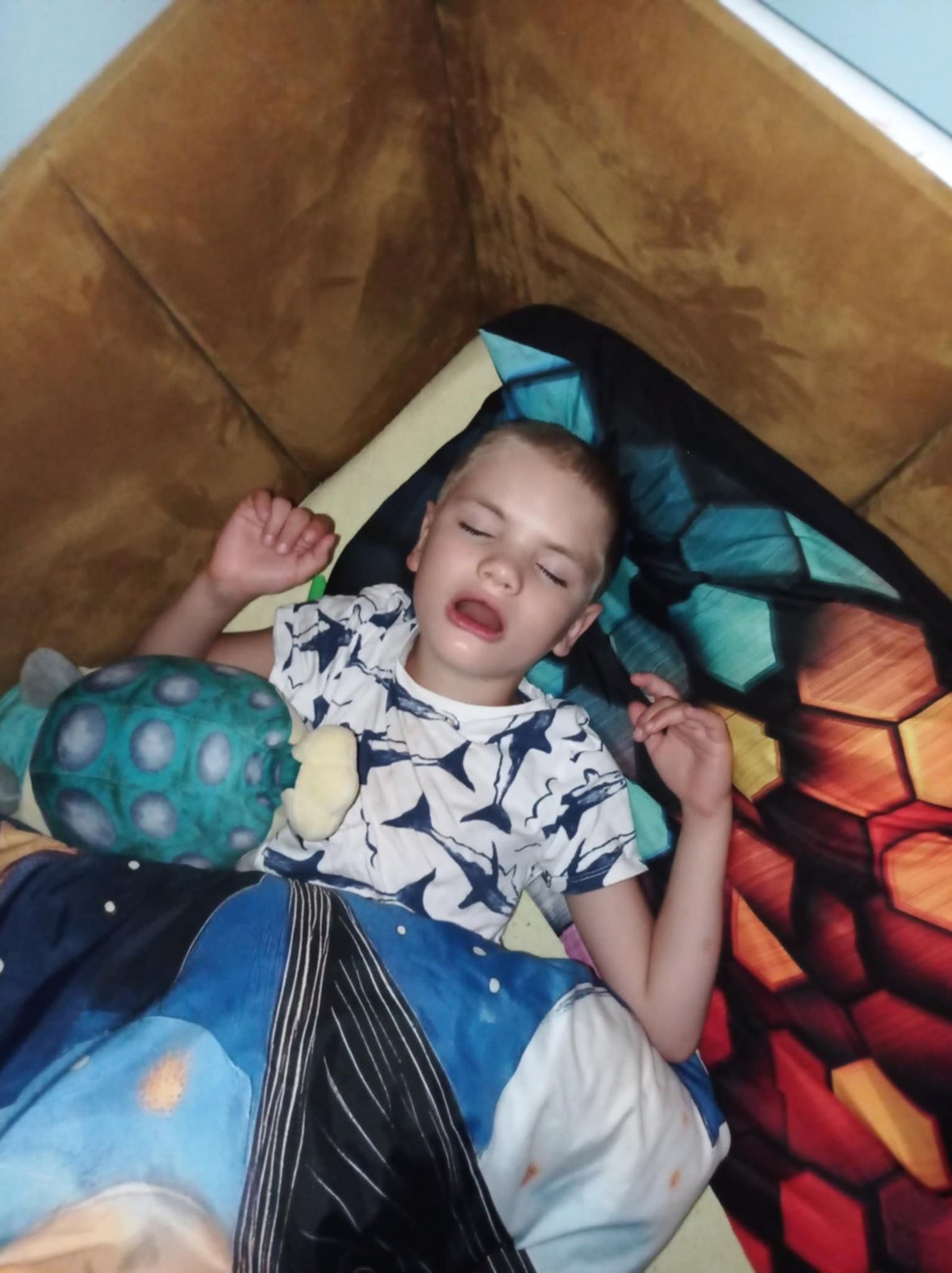 Zdjęcie główne wgrane przez użytkownika