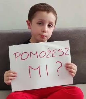 Zdjęcie główne wgrane przez użytkownika