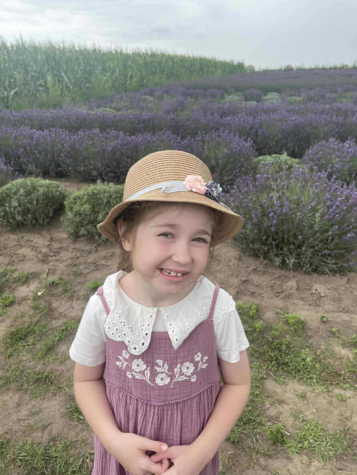 Zdjęcie główne wgrane przez użytkownika