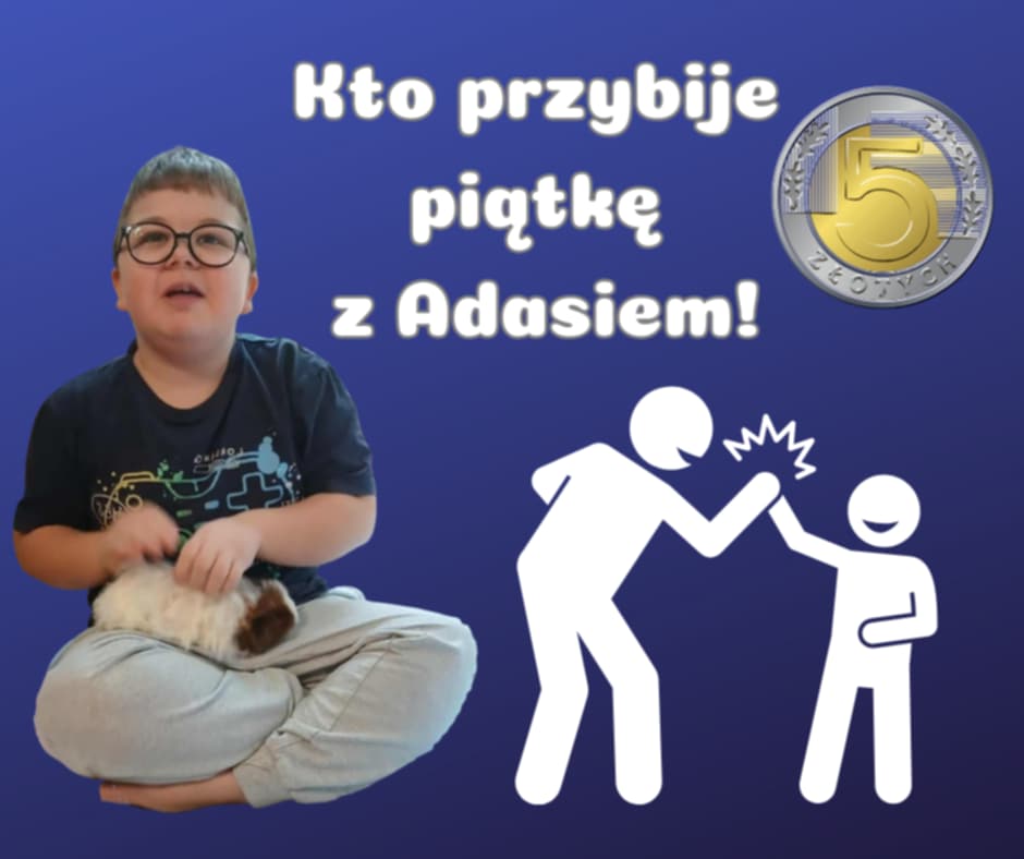 Zdjęcie główne wgrane przez użytkownika