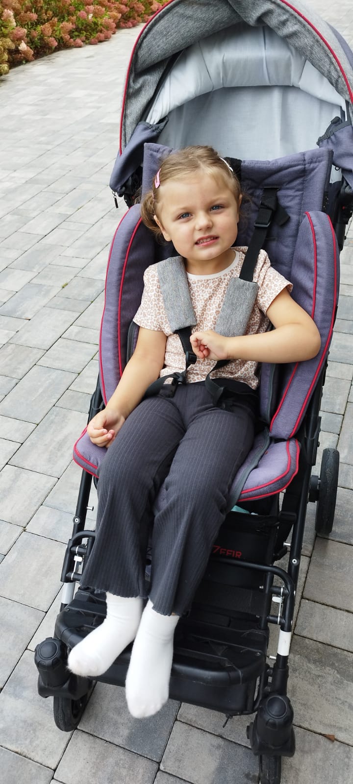 Zdjęcie główne wgrane przez użytkownika