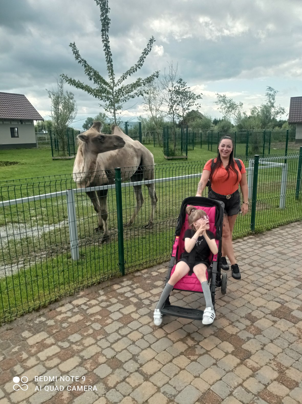 Zdjęcie główne wgrane przez użytkownika