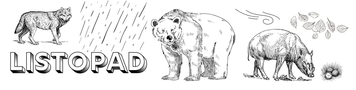 Zdjęcie główne wgrane przez użytkownika