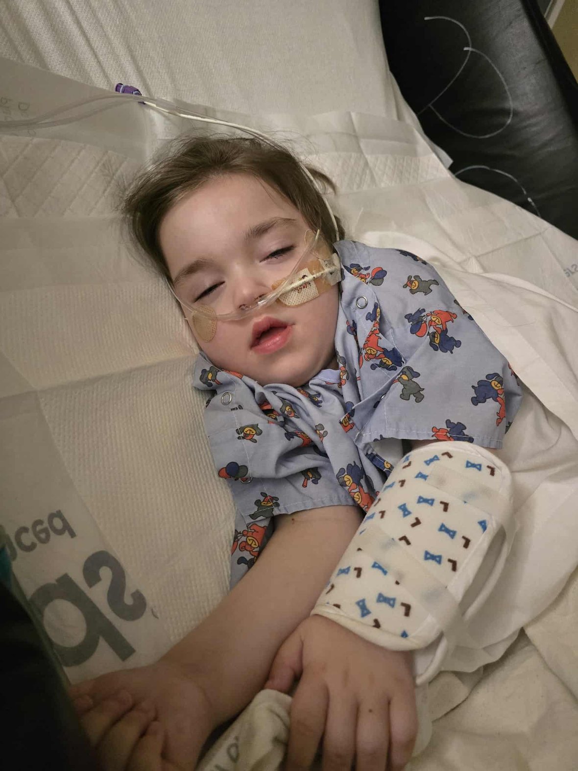 Zdjęcie główne wgrane przez użytkownika