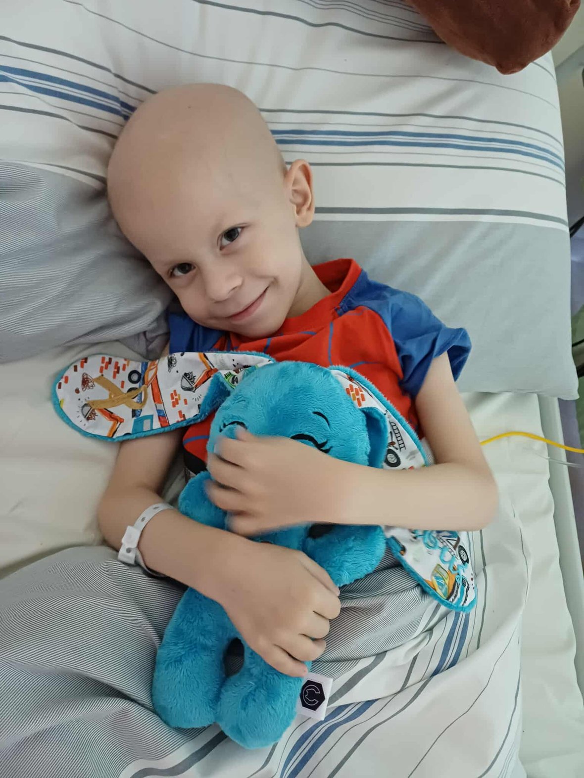 Zdjęcie główne wgrane przez użytkownika