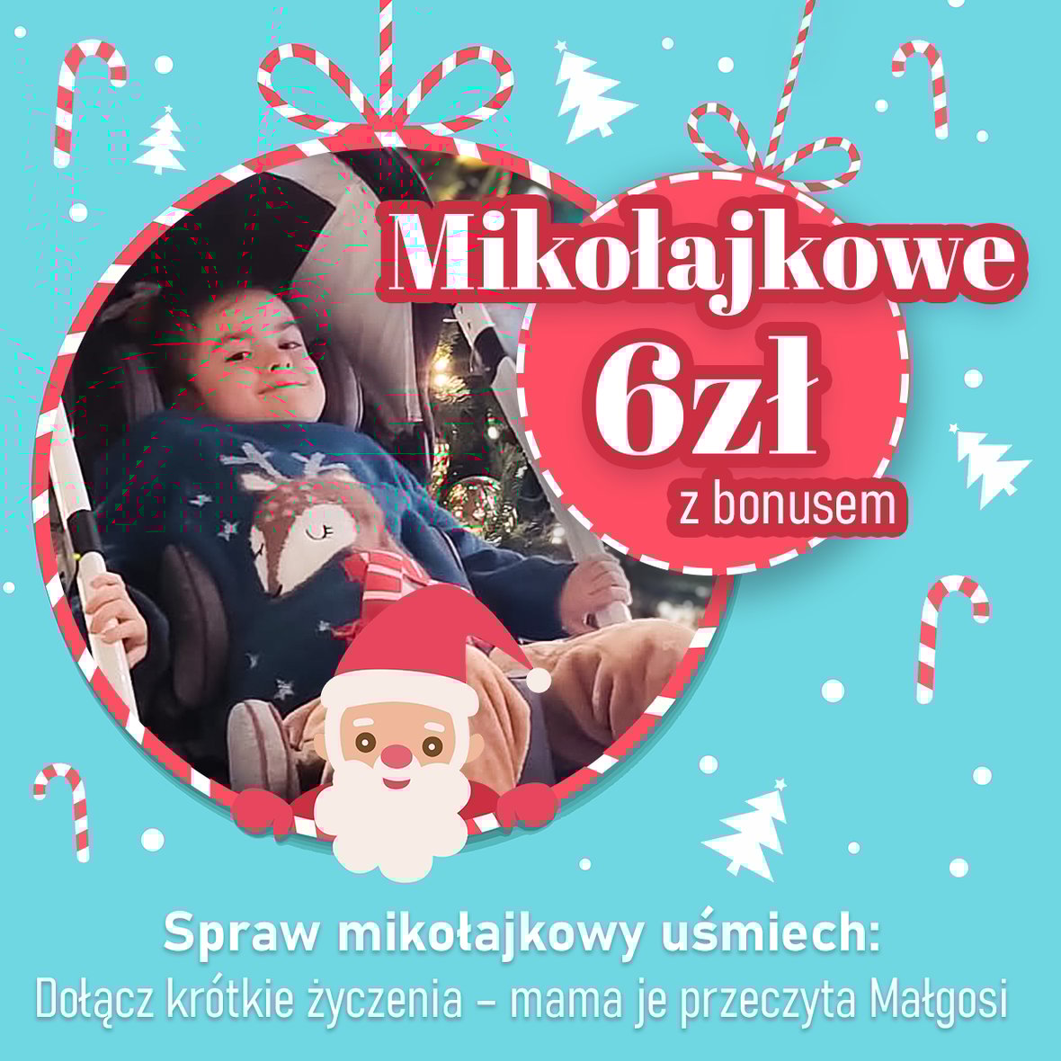 Main photo uploaded by the user