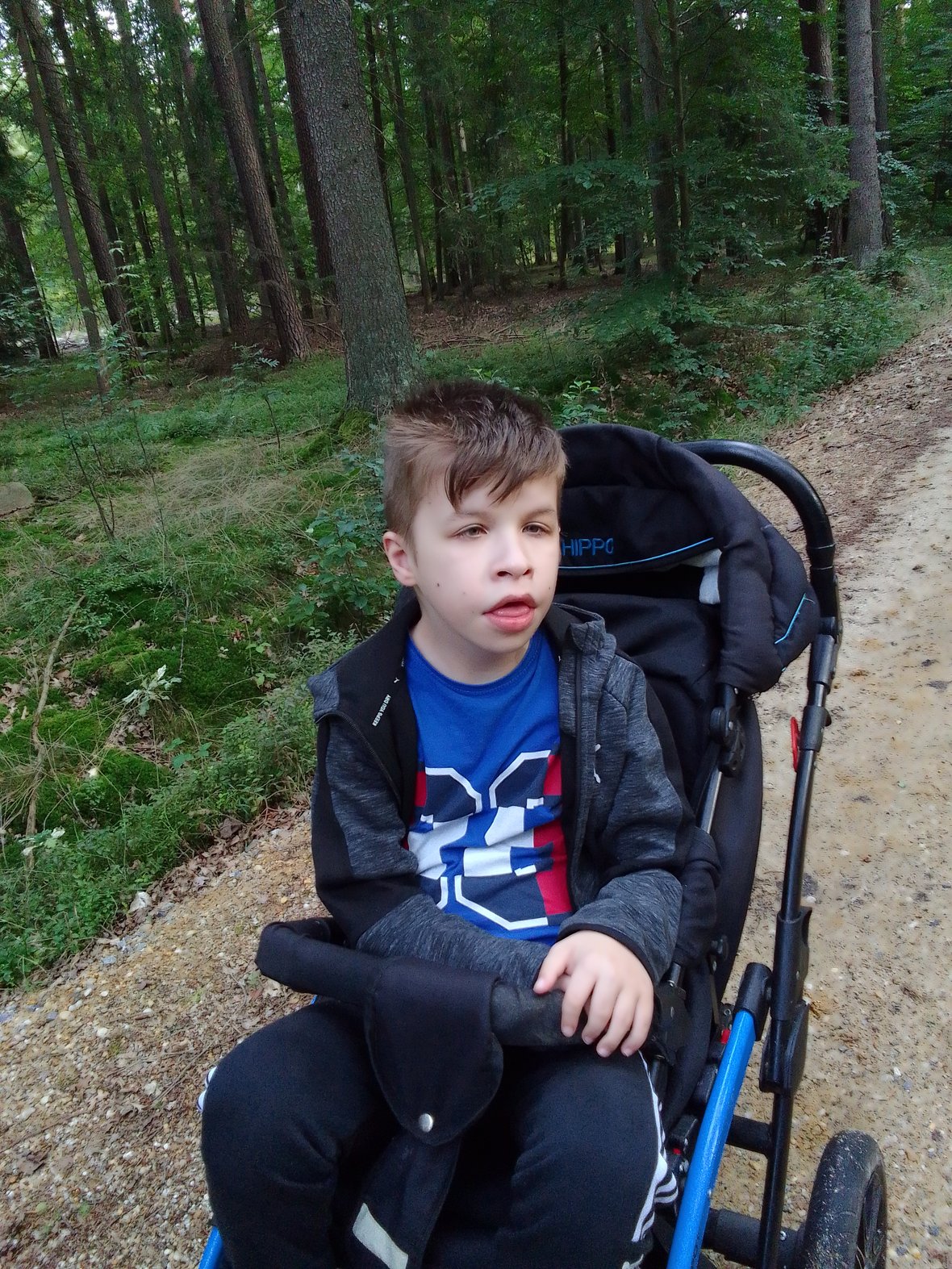 Main photo uploaded by the user