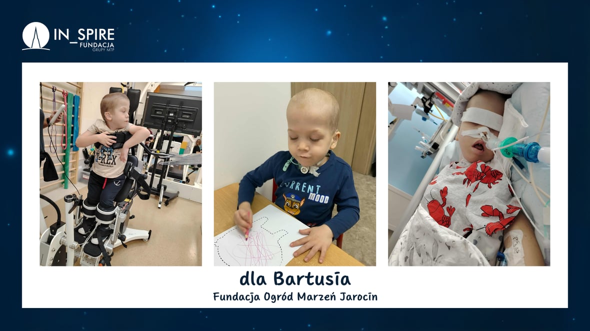 Zdjęcie główne wgrane przez użytkownika