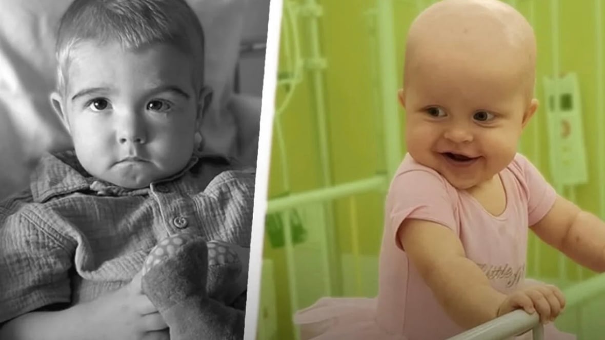 Zdjęcie główne wgrane przez użytkownika