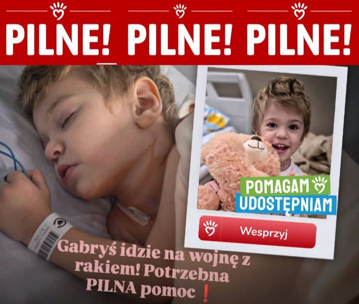 Zdjęcie główne wgrane przez użytkownika