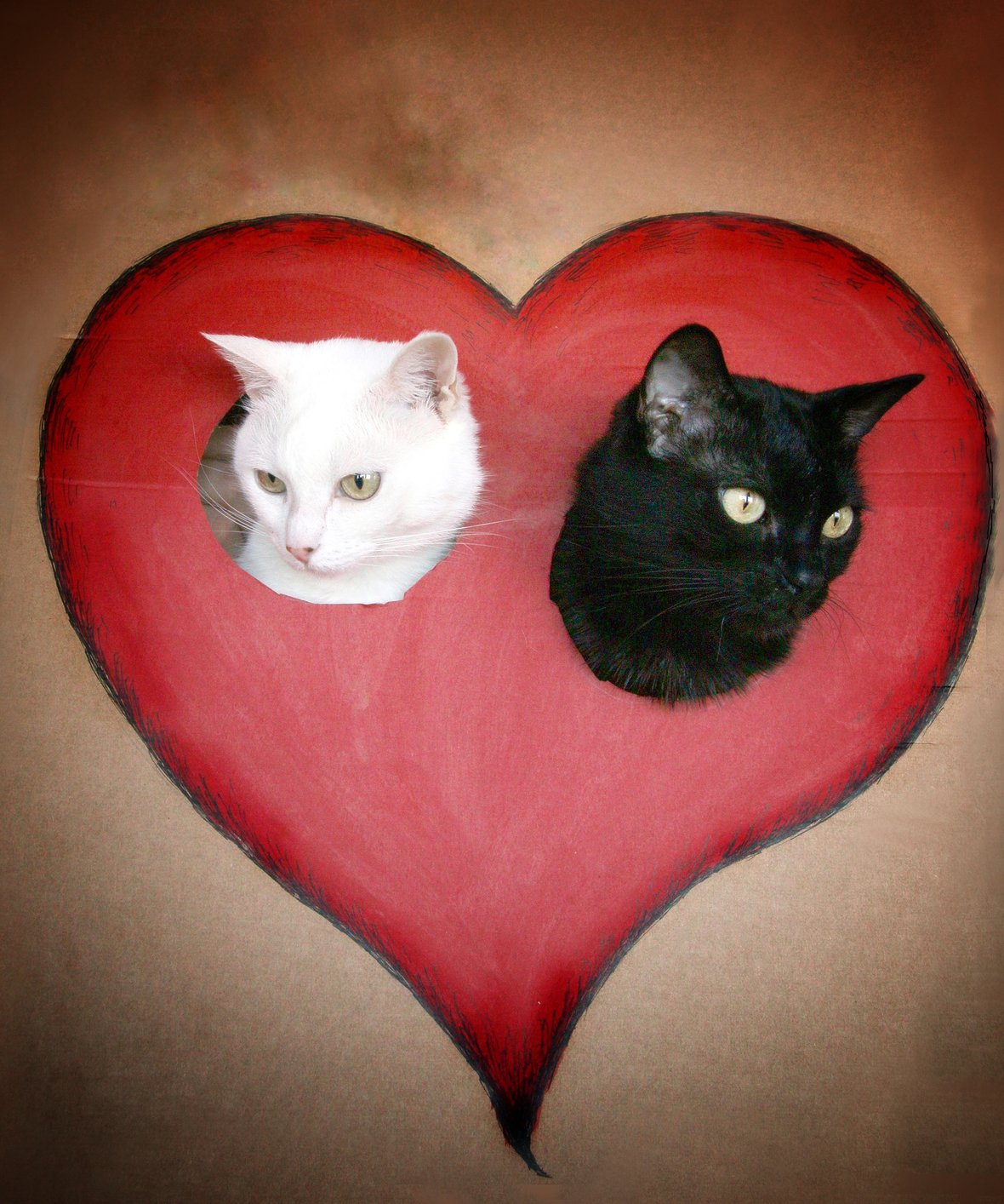 Zdjęcie główne wgrane przez użytkownika