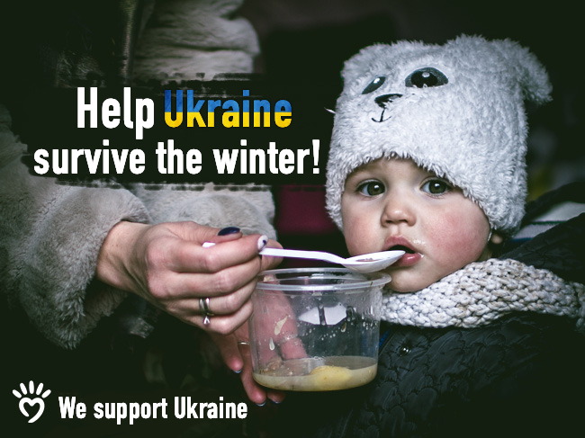 Ukraine needs power generators! Let’s help the bombed cities survive the winter! - main photo
