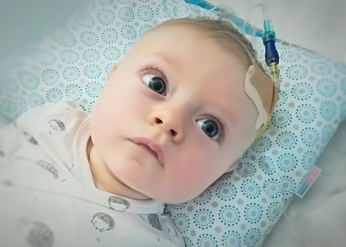 Franio Owczarz - zdjęcie główne