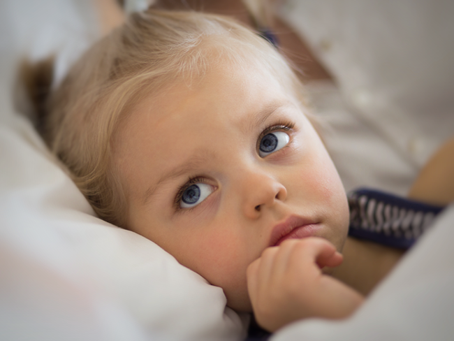 Helena Dudczak - main photo