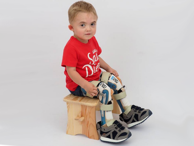 Michał Dziedzic - main photo