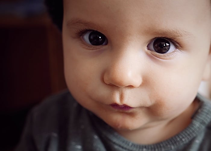 Bruno Krebok - main photo