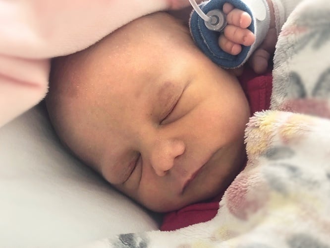 Antosia Polańska - zdjęcie główne