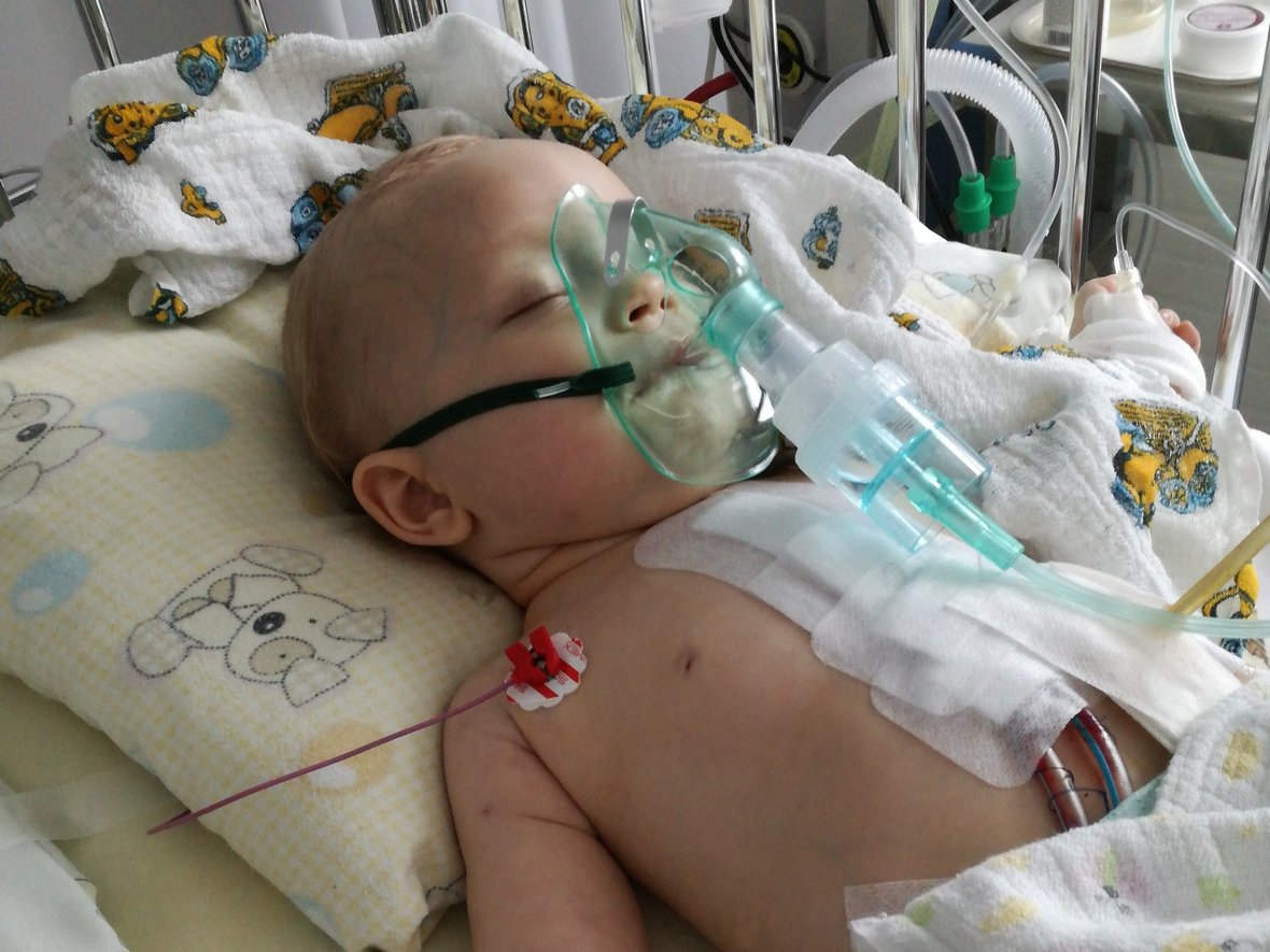 Jan Sekmistrz - main photo