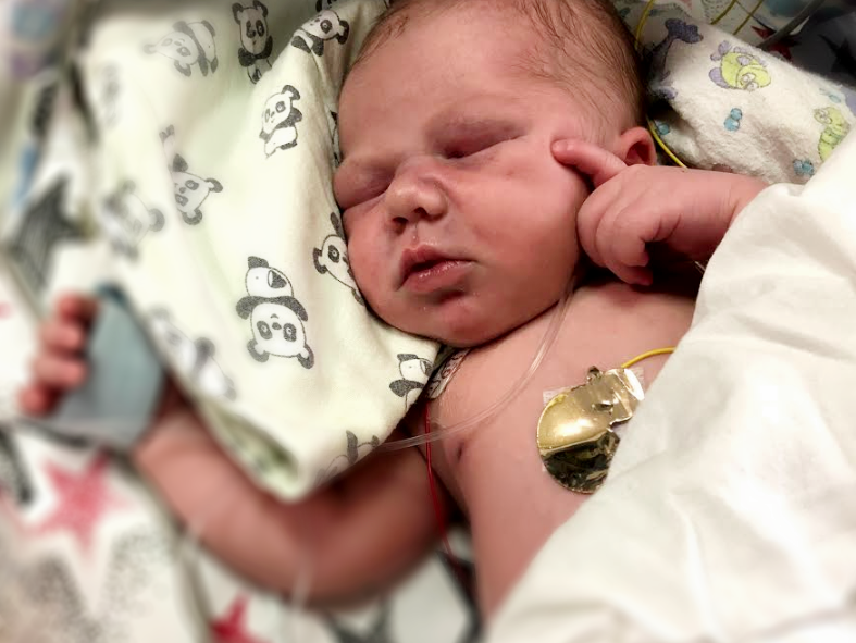 Aniela Sobieszczańska - zdjęcie główne