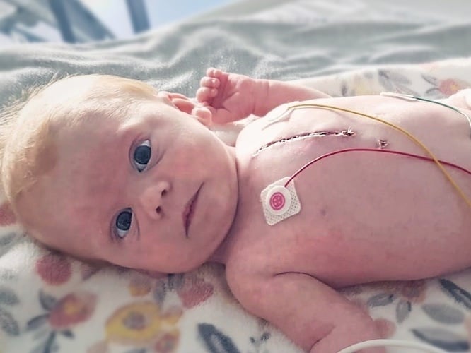 Antosia Polańska - zdjęcie główne