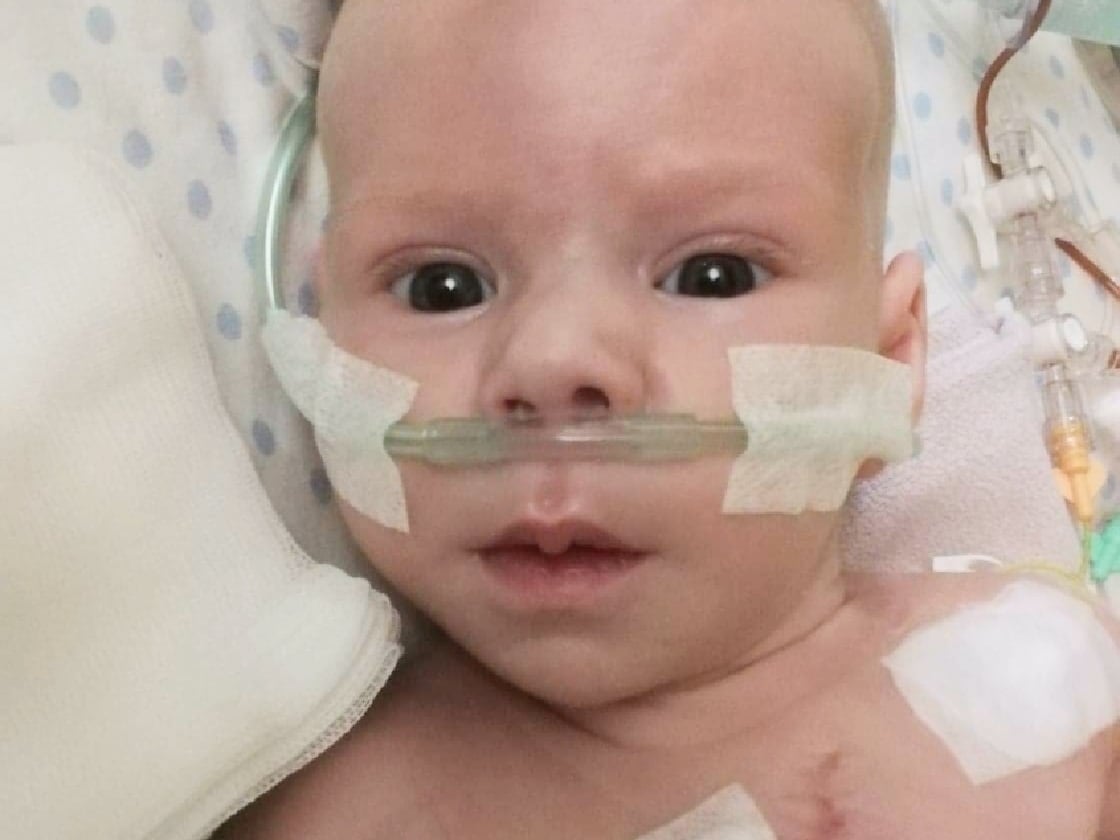 Nikola Klamecka - main photo