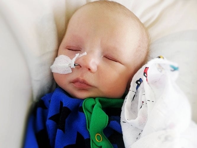 Franek Gibała - zdjęcie główne