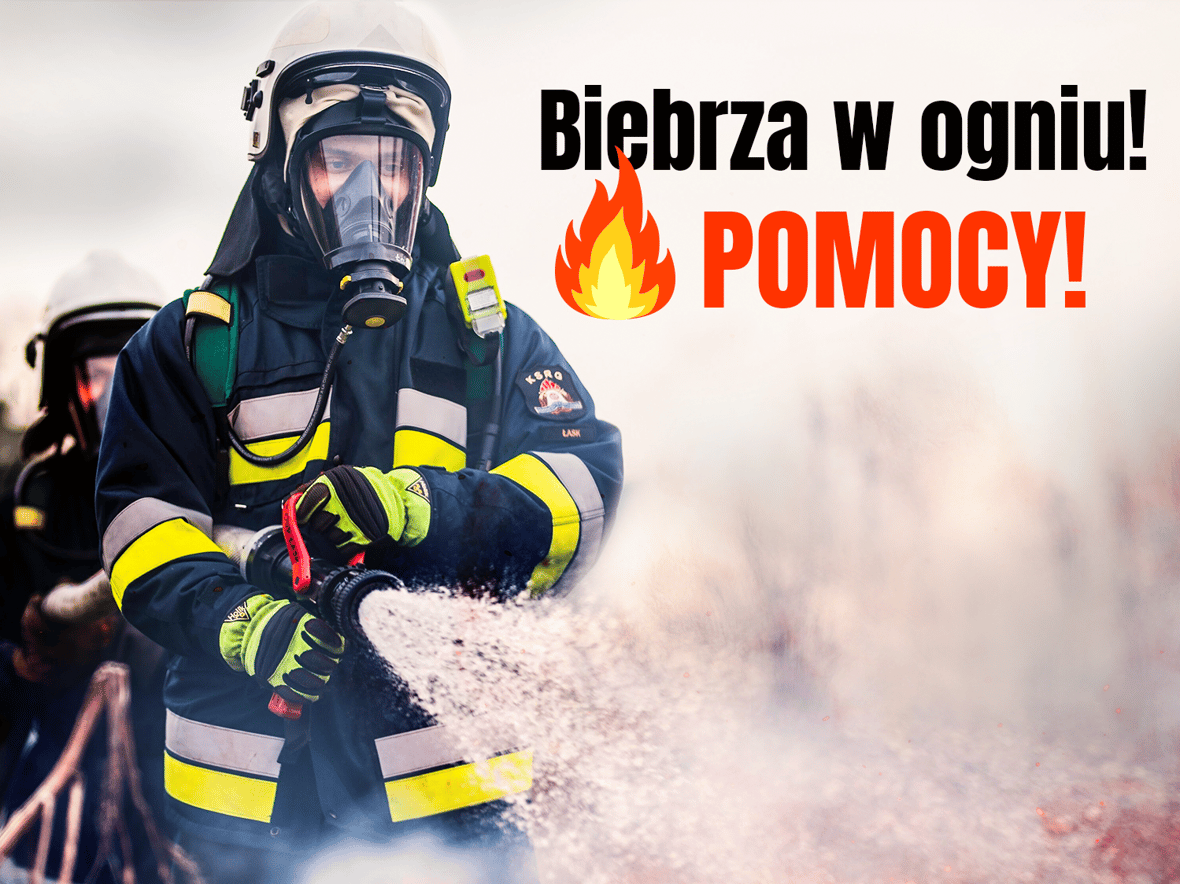 Biebrza w ogniu❗️Giną tysiące zwierząt, brakuje sprzętu! Potrzebna pomoc! - zdjęcie główne
