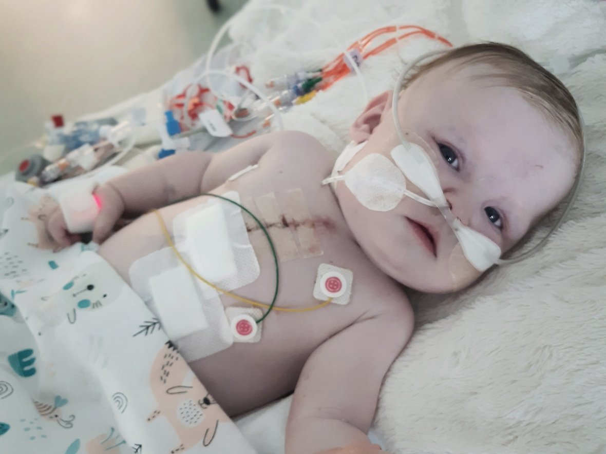 Michalina Bocer - main photo