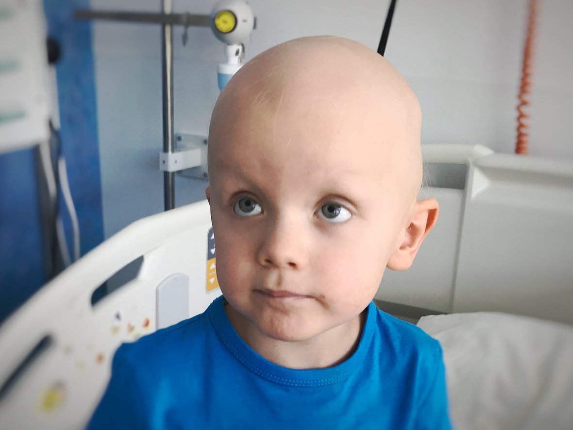 Franek Cedro - main photo