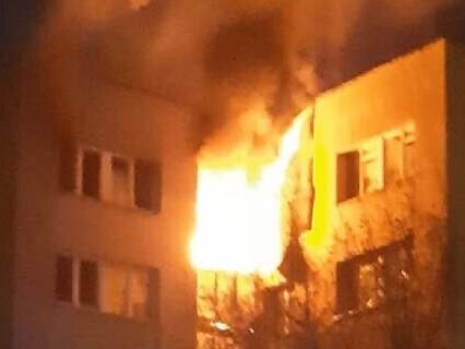 Rodzina Zając - zdjęcie główne