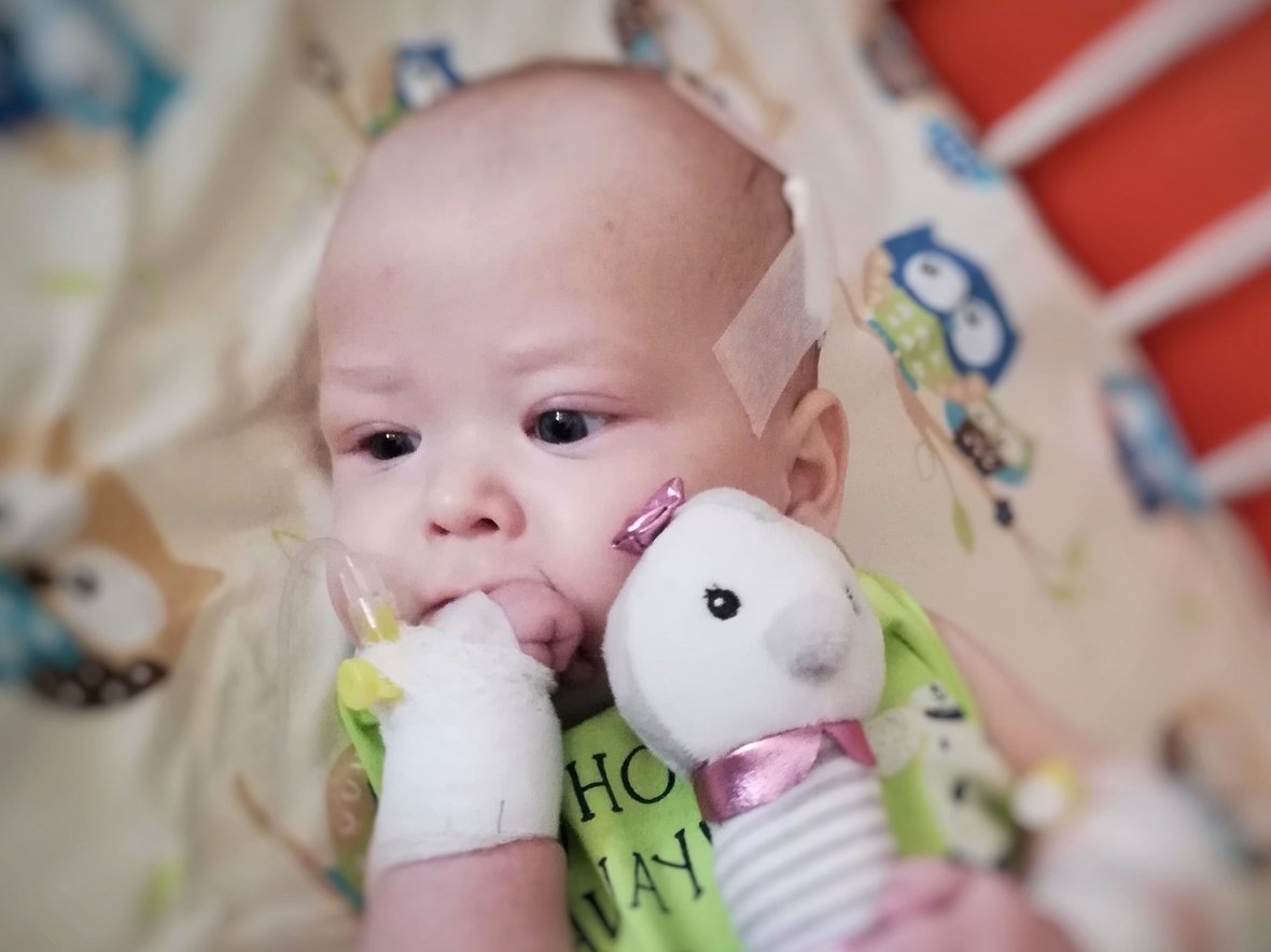 Wiktorek Jastrzembski - zdjęcie główne