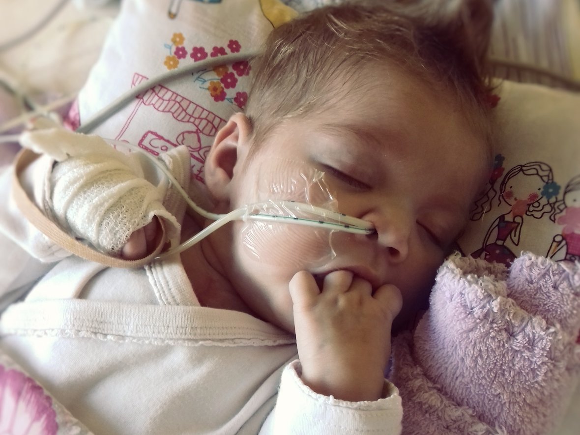 Anastazja Purta - main photo