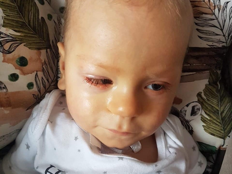 Mikołaj Schmidt - zdjęcie główne