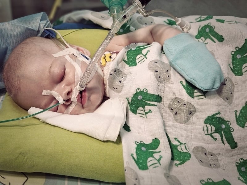 Antoni Sobecki - main photo