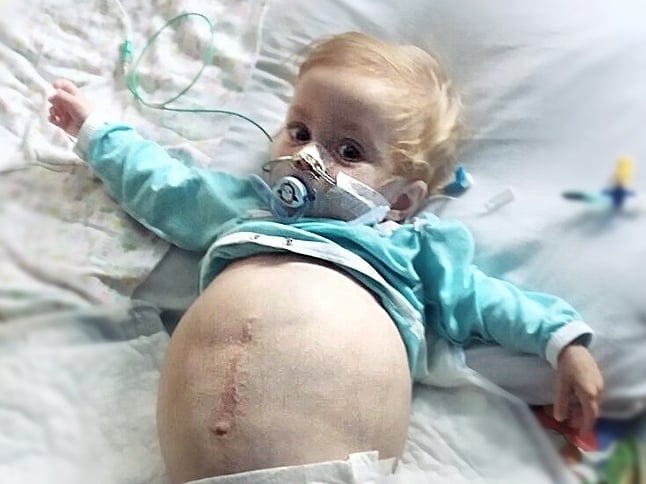 Marharyta (Gosia) Dyrenko - main photo