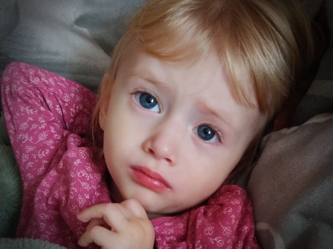 Olga Miśkiewicz - zdjęcie główne